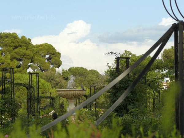 View to the rose garden