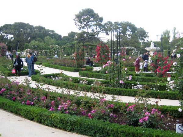 Roses of all colours can be admired