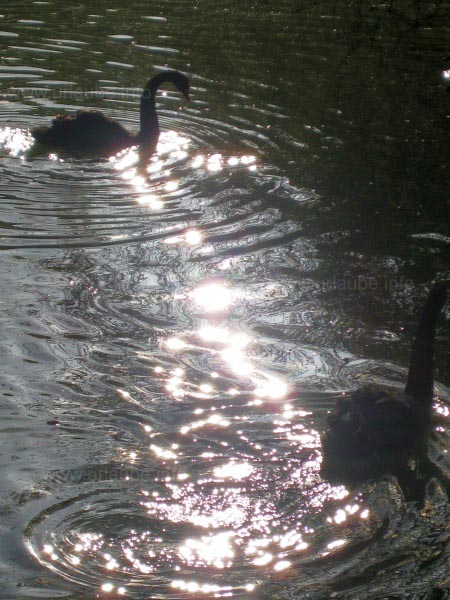 Moments of Relaxation