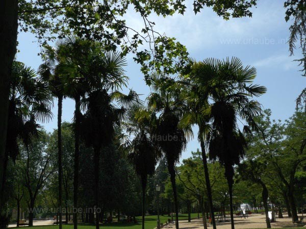 The Plaza in the proximity of the temple