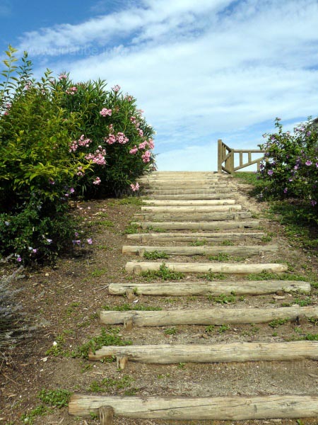 A path that leads to a kind of plateau