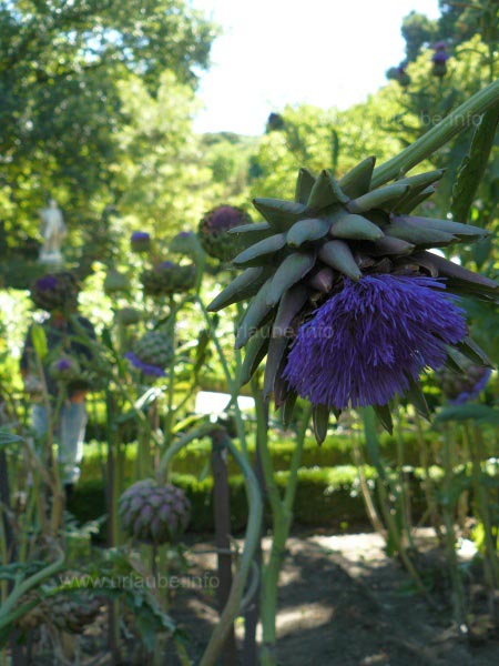 Interesting colours and shapes