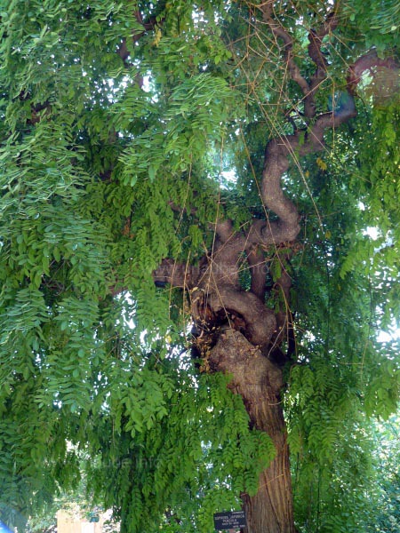 Interesting colours and shapes