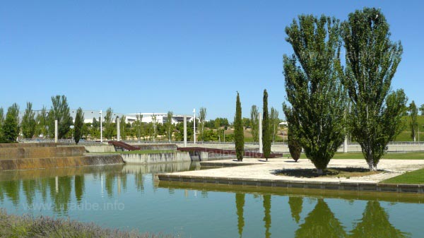 An uncommon and beautiful view: the water bed of the park