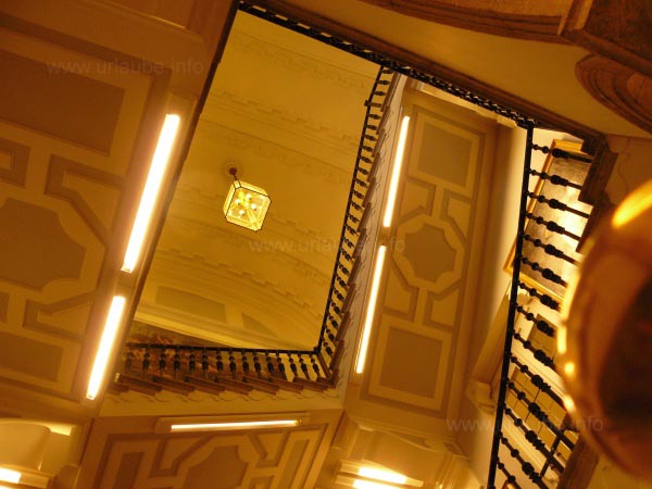 Stylish arrangement of the entrance hall and the staircase