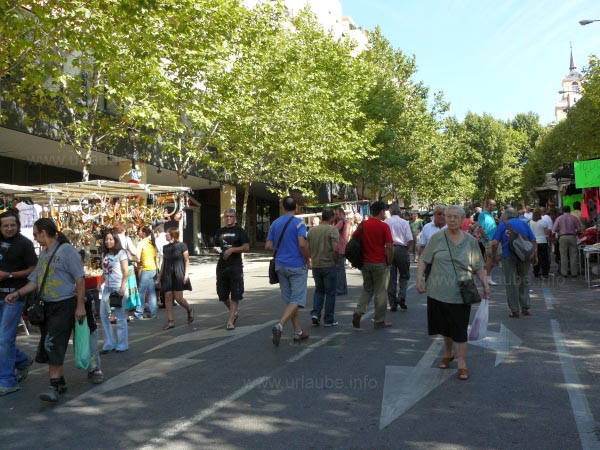 Motley: the famous flee market El Rastro