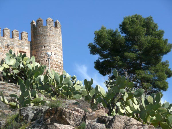 Witnesses of the History