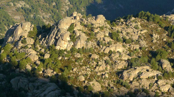 A fascinating world of forests and granite rocks