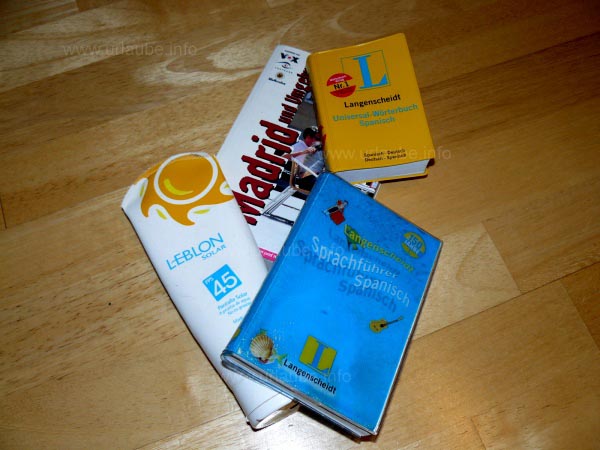 Useful: language and travel guides, eventually a dictionary and - very important - sun protection