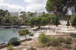 View to the beach bay greened with pine trees