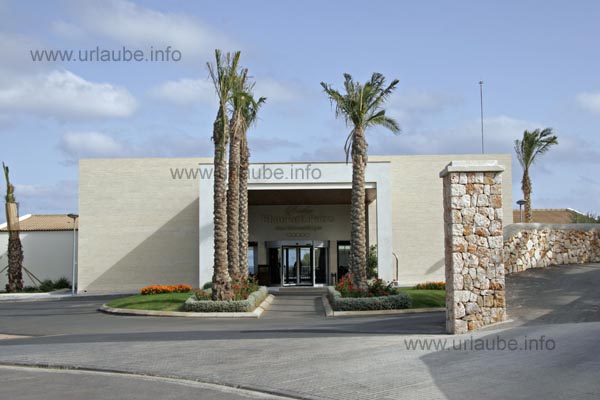 The quite rudimental palms