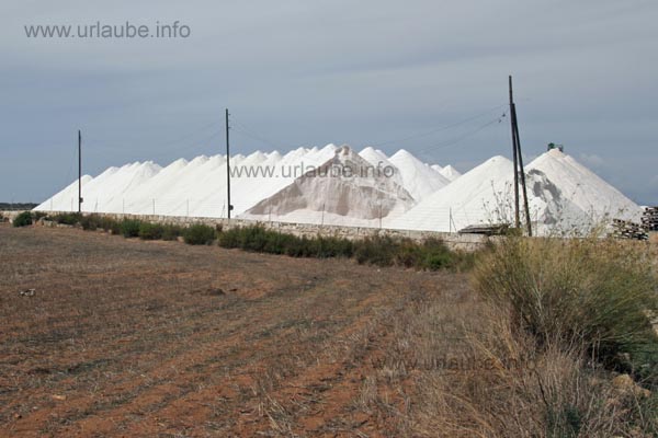 Salines de Llevant