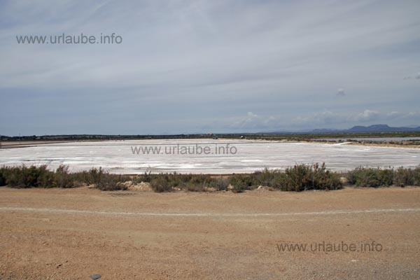 Salines de Llevant