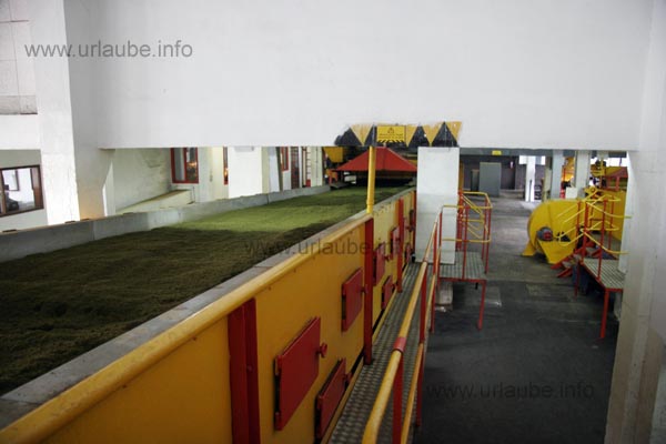 Pieces of tea leaves during the one-hour fermentation