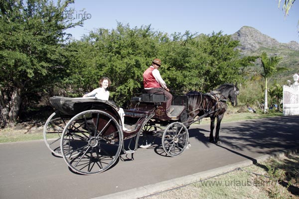 Trip with the horse-drawn carriage through the Domaine les Pailles