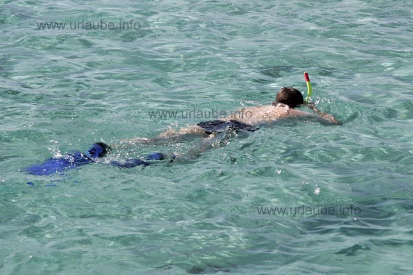 The crystal clear water with the wonderful corals underneath is a paradise for snorkeling tourists.