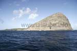 The semi-circumnavigation of the island Coin de Mire offers some excellent views to the rock island.