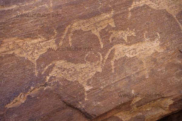 Rock engravings at the Twyfelfontein