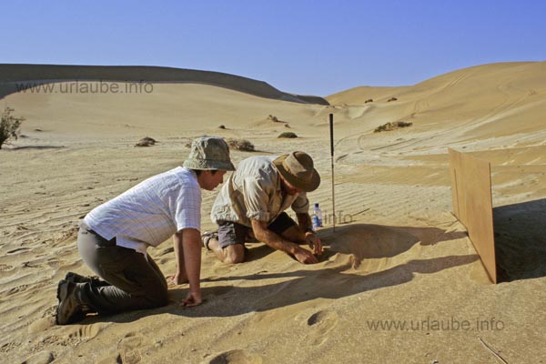 Chris, the guide, is digging in the Namib
