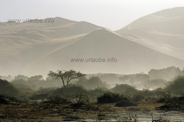 Morning fog at the Sossusvlei