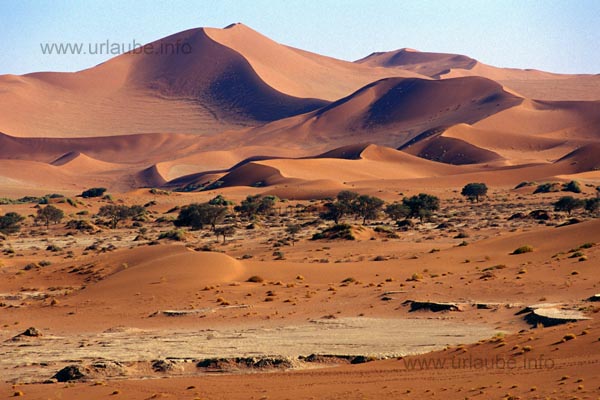 Dunescape at the Sossusvlei