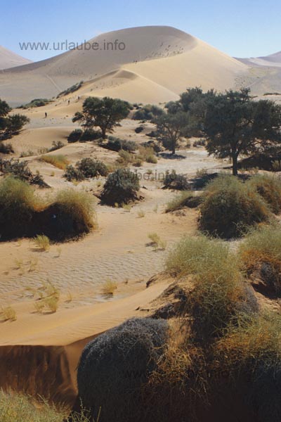 The swale of Sossusvlei