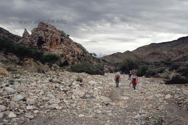 At the beginning of the quiver tree canyon