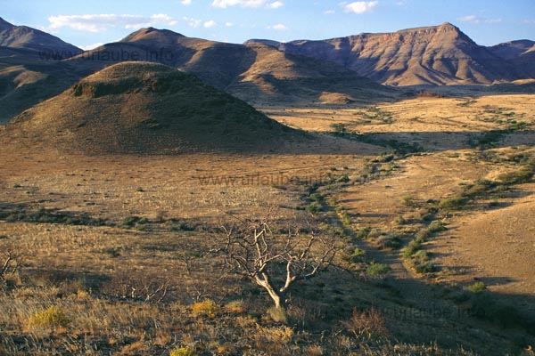 Savannah landscape around Ababis
