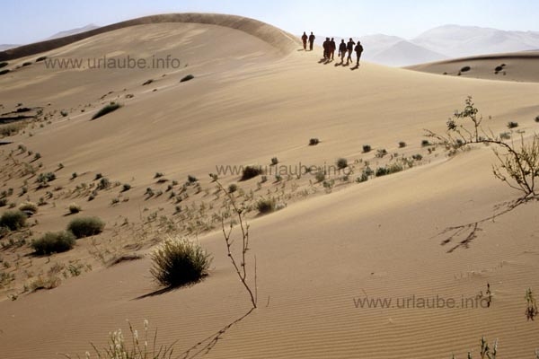 Dune hiking in the Namib desert