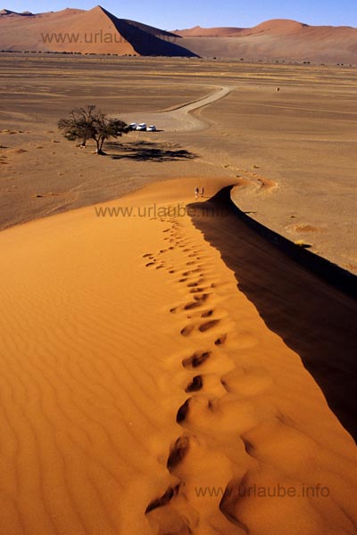Namib desert