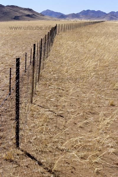 Endless wideness in the central high plateau
