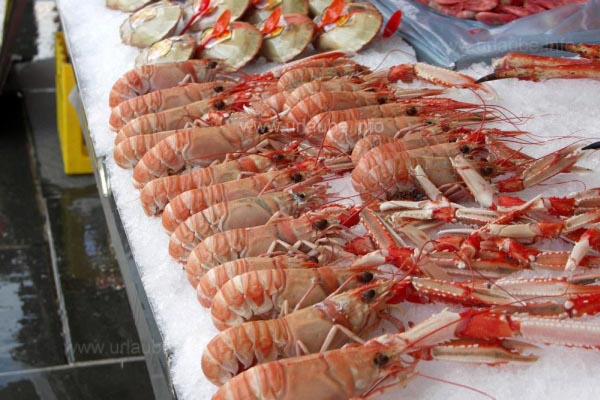 Bergen - Fish Market