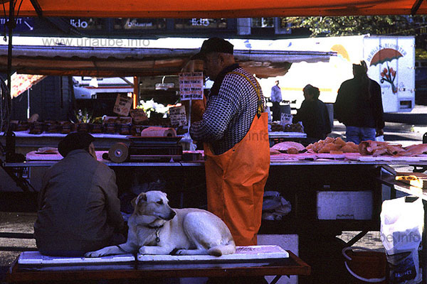 Fischmarkt
