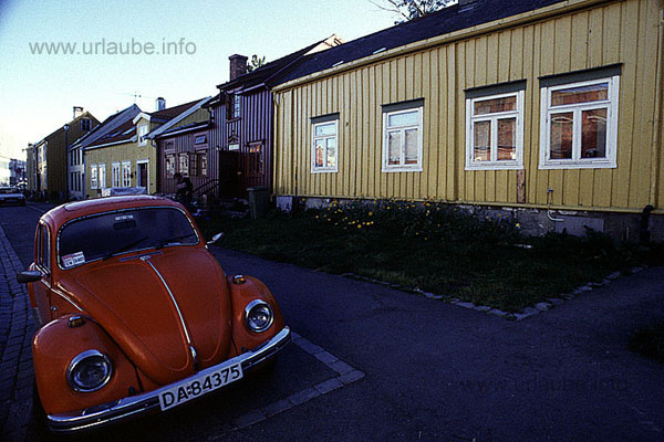 ... where also beetles are at home.