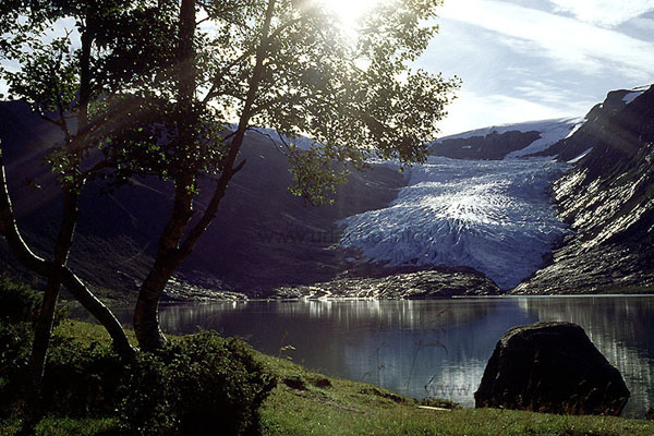 Glacier tongue at the Svartisen
