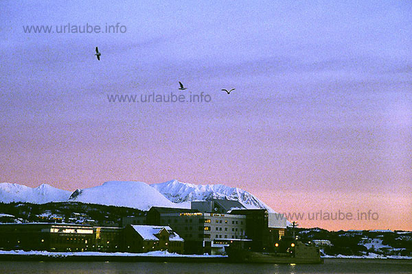 The local mountains of Harstad, the port bay and the festival hall. Here, the northern Norwegian festivals take place every year with concerts, theatre performances and exhibitions.