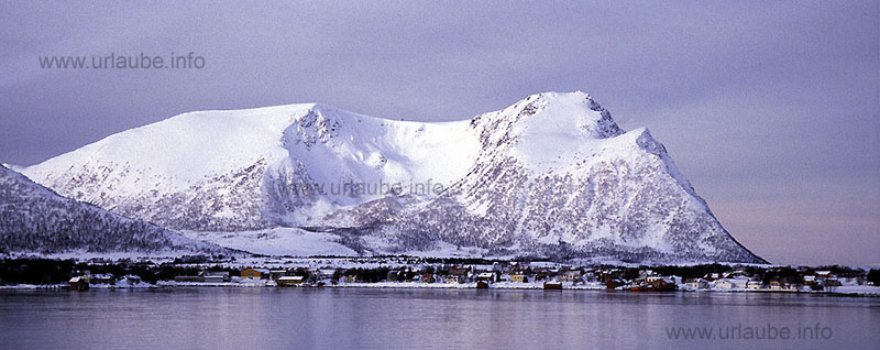 The fast steamer approaches Ris&ouml;yhamn.