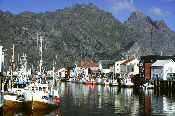 Lofoten view