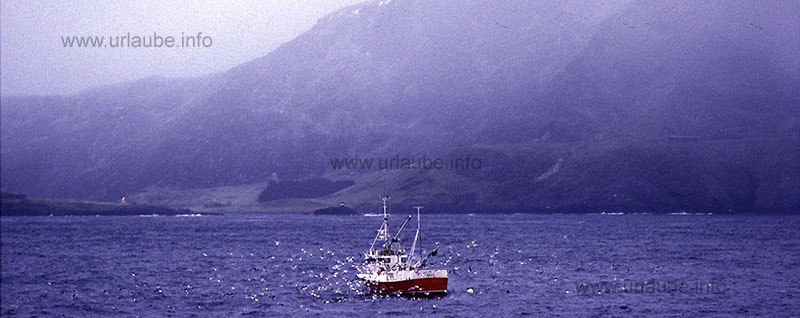 Fishing boat on the return way to Flor&ouml;