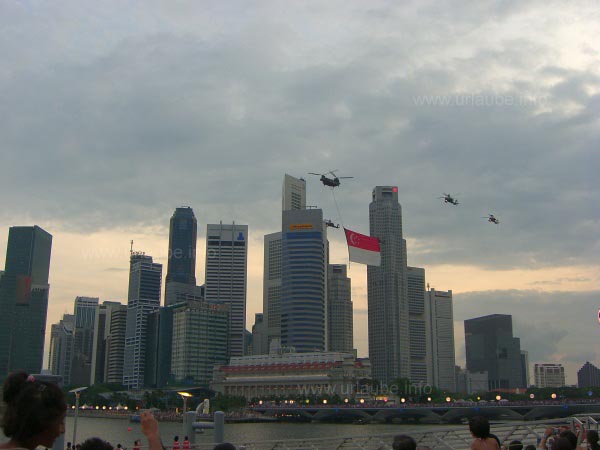 Flying show on the national holiday