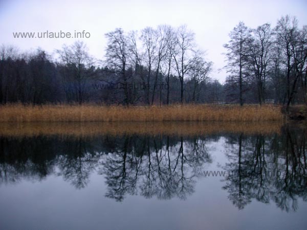Djurgarden has some trees aged up to 600 years.