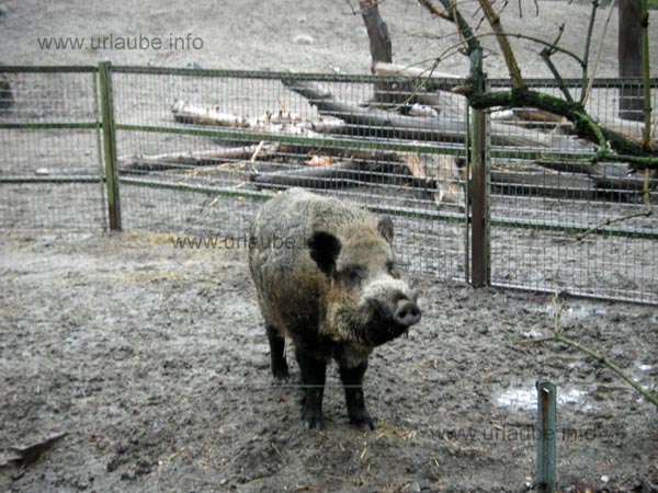 Open Air Museum Skansen
