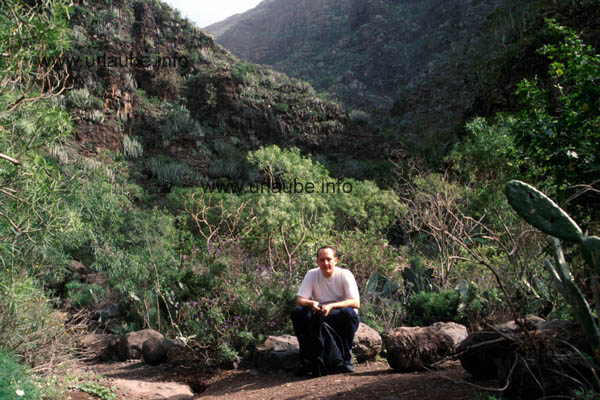 A last break at the sun before continuing into the shady vegetation