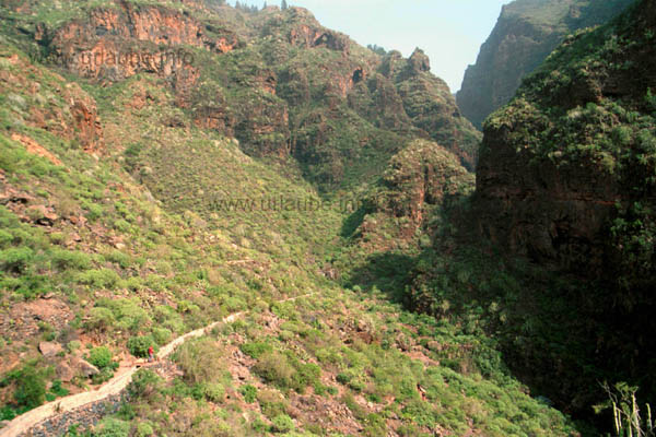 The last stretch of way at the hillside before one arrives to the bottom of the canyon