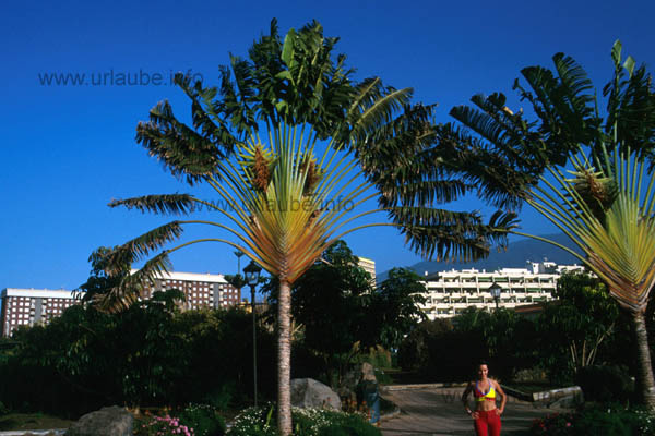 The exotic garden beach Playa Jardin
