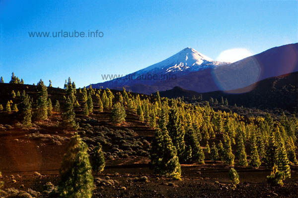 One of the most fascinating views to the Teide from a height of approximately 2000m
