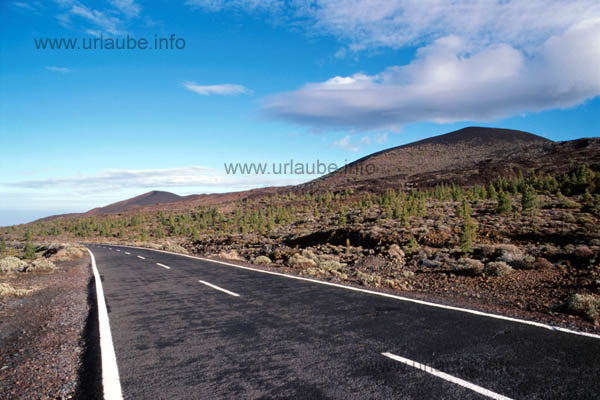 Big lava fields with few pines at a height of approximately 1700 metres