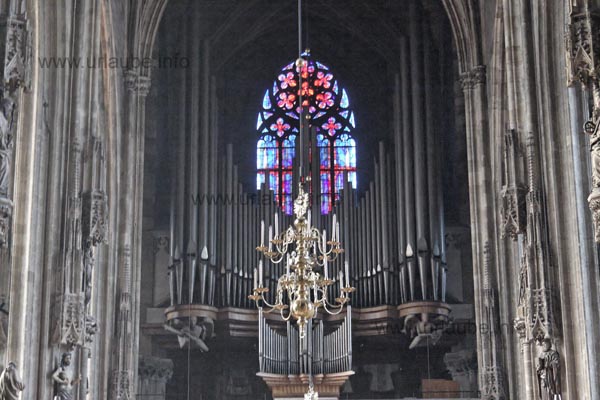 The huge organ in the St. Stephan's Cathedral belongs to the biggest pipe organ of the world