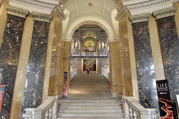 In the interior of the natural history museum, a stately stairway leds to the upper floor.