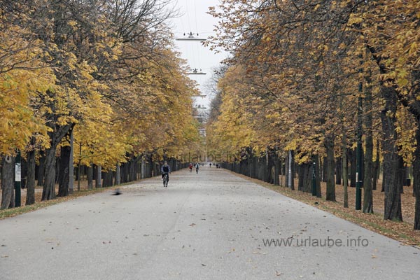 The main avenue in the Prater of Vienna extends over a length of 4 km and is surrounded by some imposing chestnut trees.